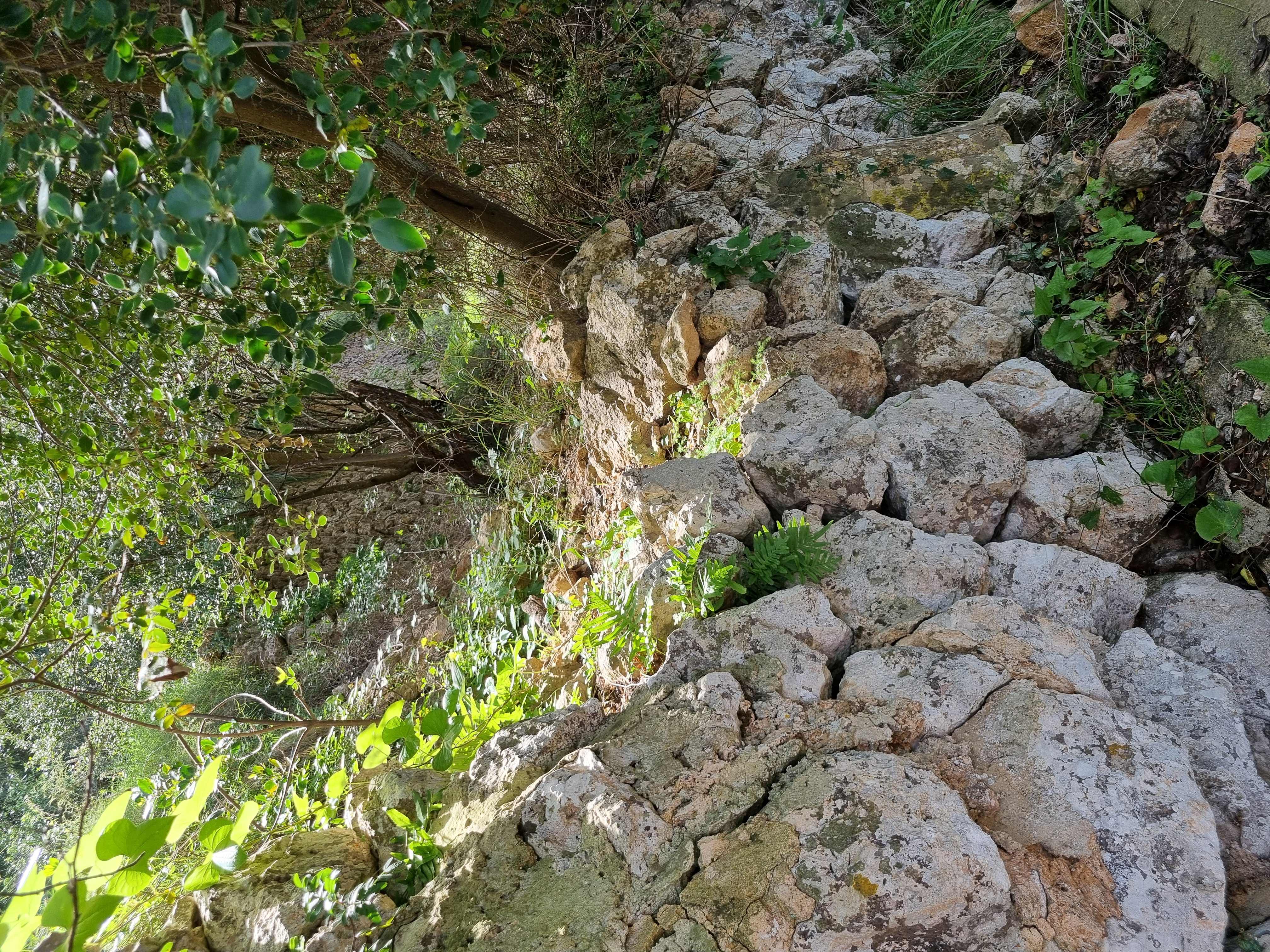 Tramuntana walls